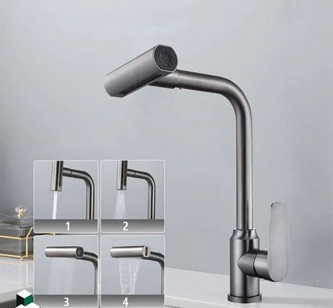 شیر در چند جهت مختلف